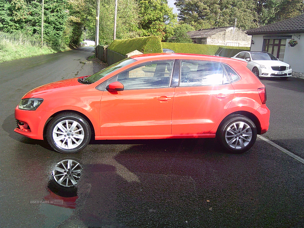 Volkswagen Polo HATCHBACK in Fermanagh