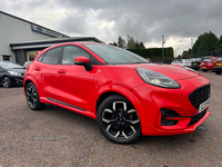 Ford Puma HATCHBACK SPECIAL EDITIONS in Antrim