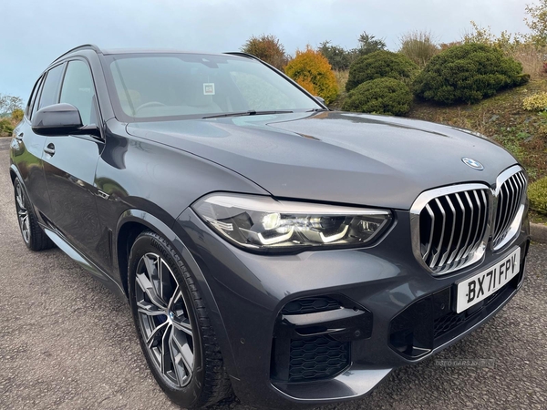 BMW X5 ESTATE in Tyrone