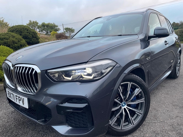 BMW X5 ESTATE in Tyrone