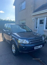 Land Rover Freelander DIESEL SW in Tyrone