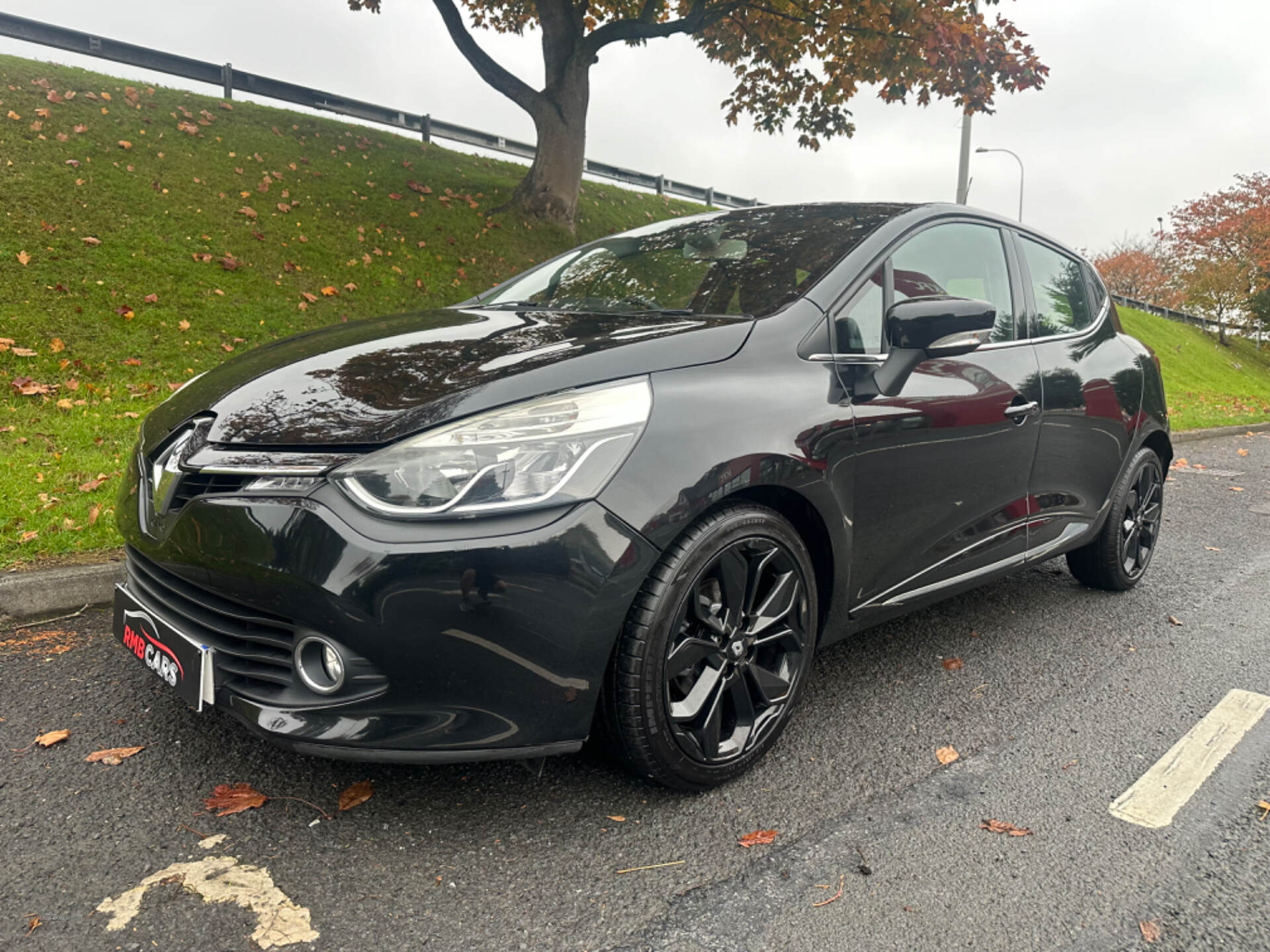 Renault Clio DIESEL HATCHBACK in Down