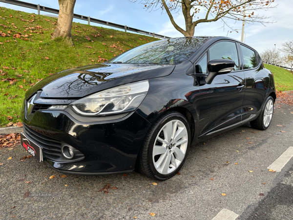 Renault Clio DIESEL HATCHBACK in Down