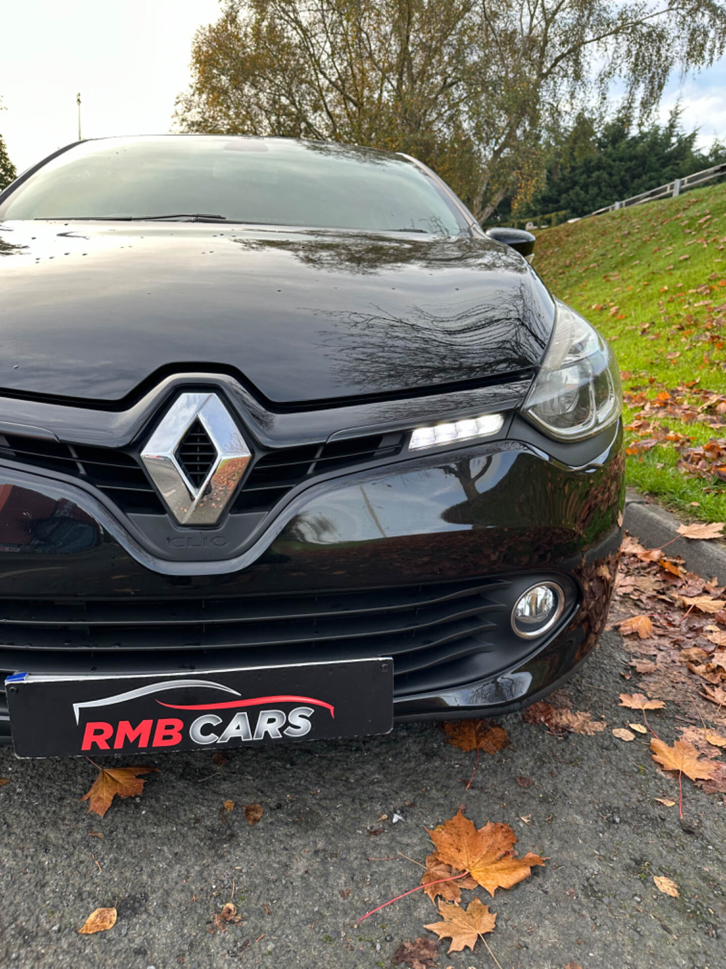 Renault Clio DIESEL HATCHBACK in Down