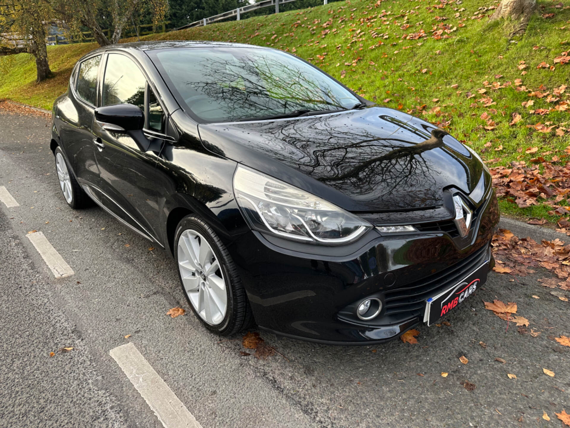 Renault Clio DIESEL HATCHBACK in Down