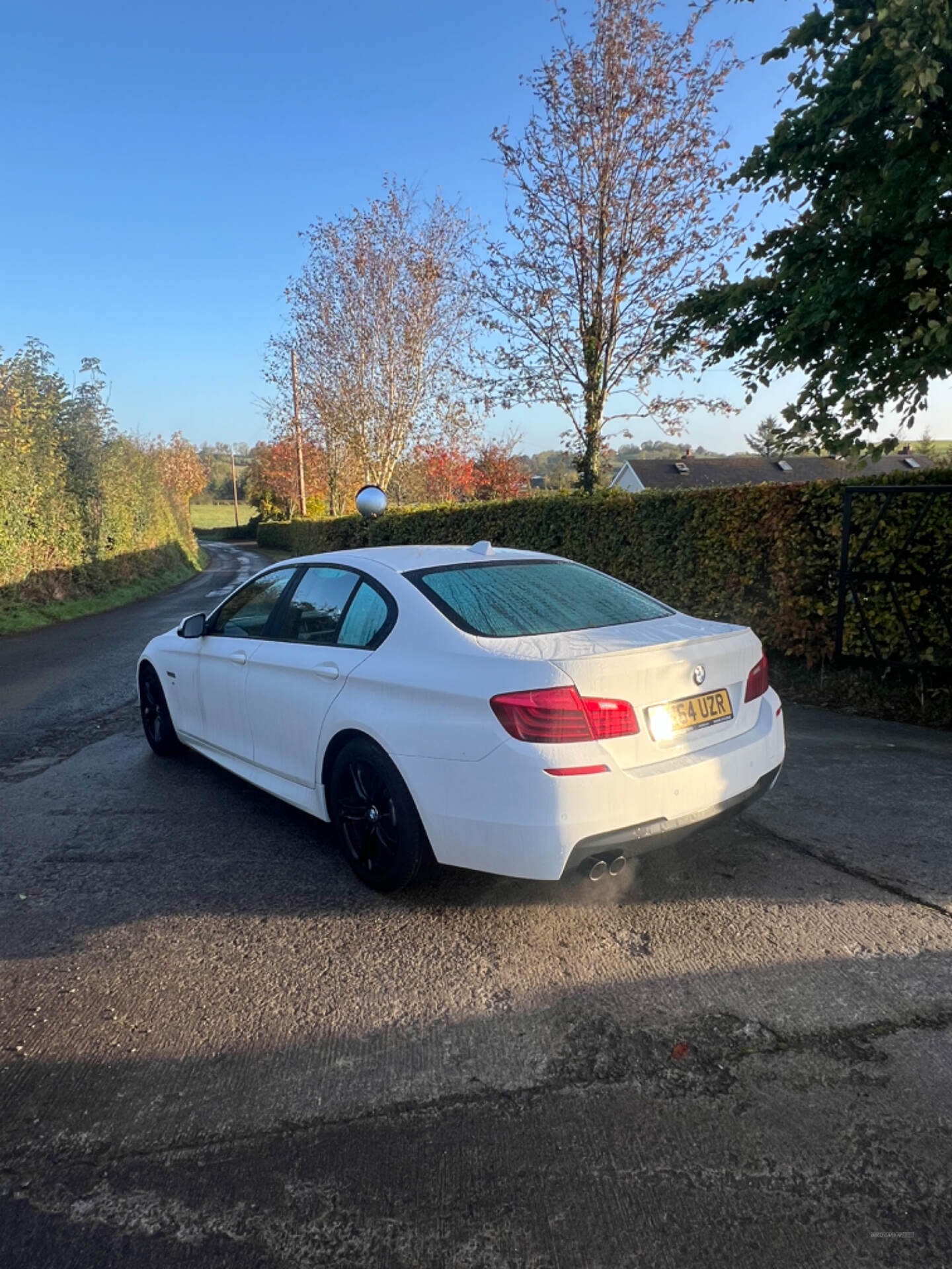 BMW 5 Series DIESEL SALOON in Armagh