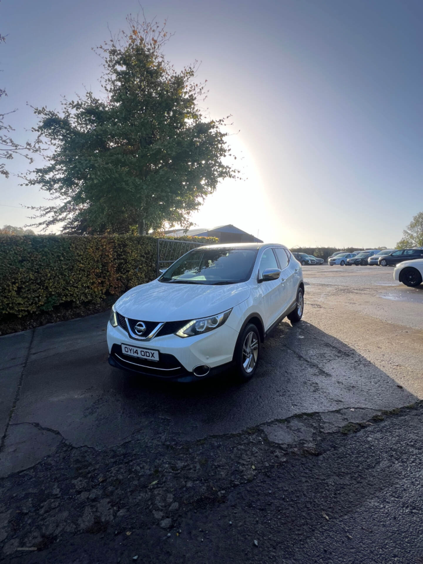 Nissan Qashqai DIESEL HATCHBACK in Armagh