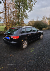 Audi A3 1.9 TDi 5dr in Antrim