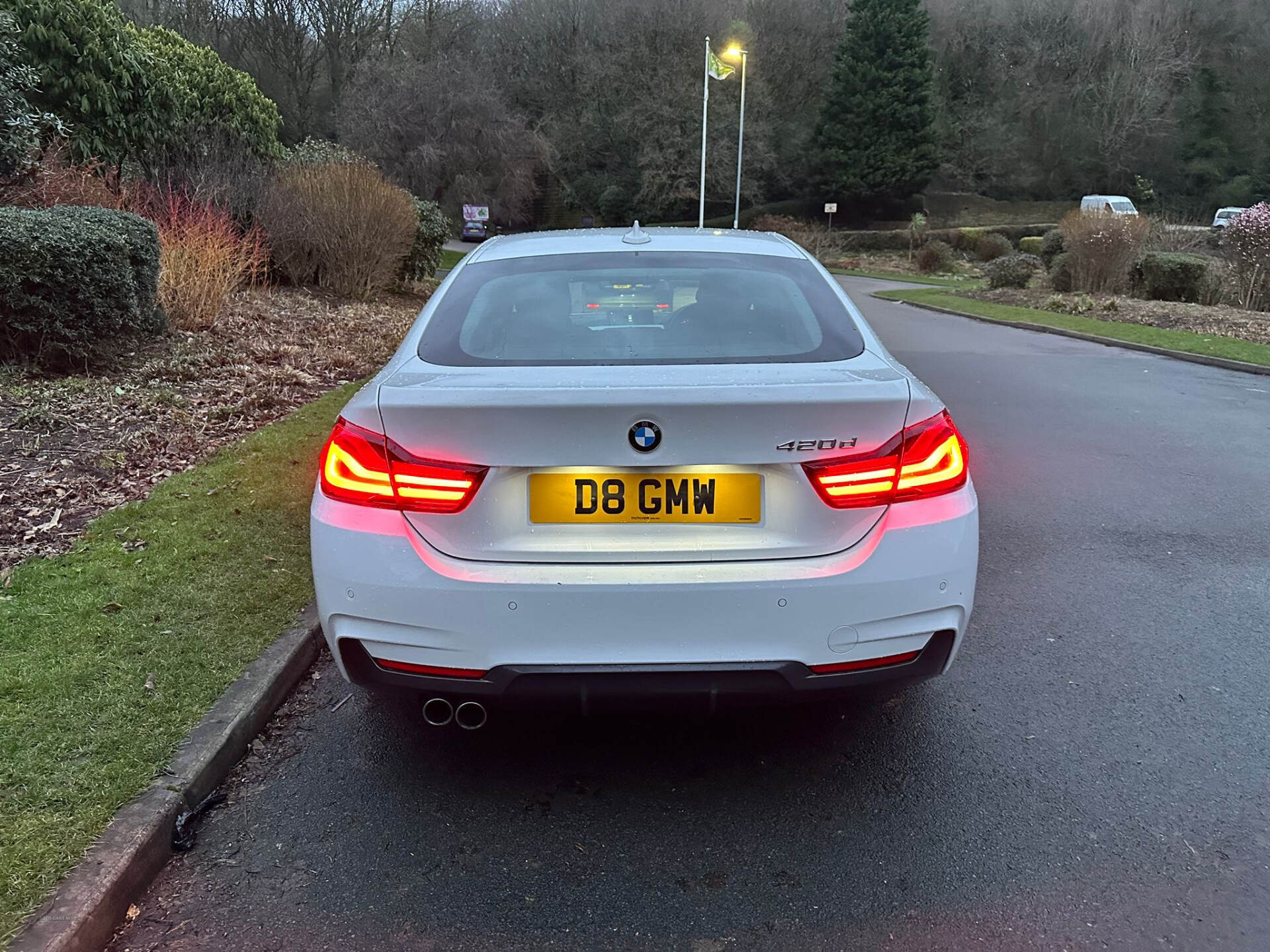 BMW 4 Series GRAN DIESEL COUPE in Tyrone