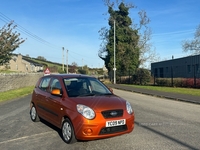 Kia Picanto 1.1 2 5dr Auto in Down