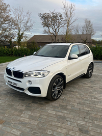 BMW X5 xDrive30d M Sport 5dr Auto in Derry / Londonderry