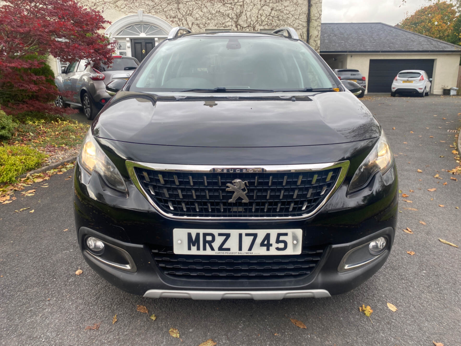 Peugeot 2008 DIESEL ESTATE in Tyrone