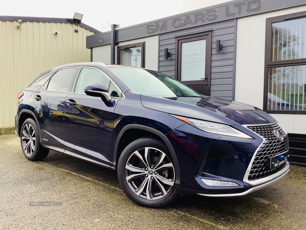 Lexus RX-Series ESTATE in Down