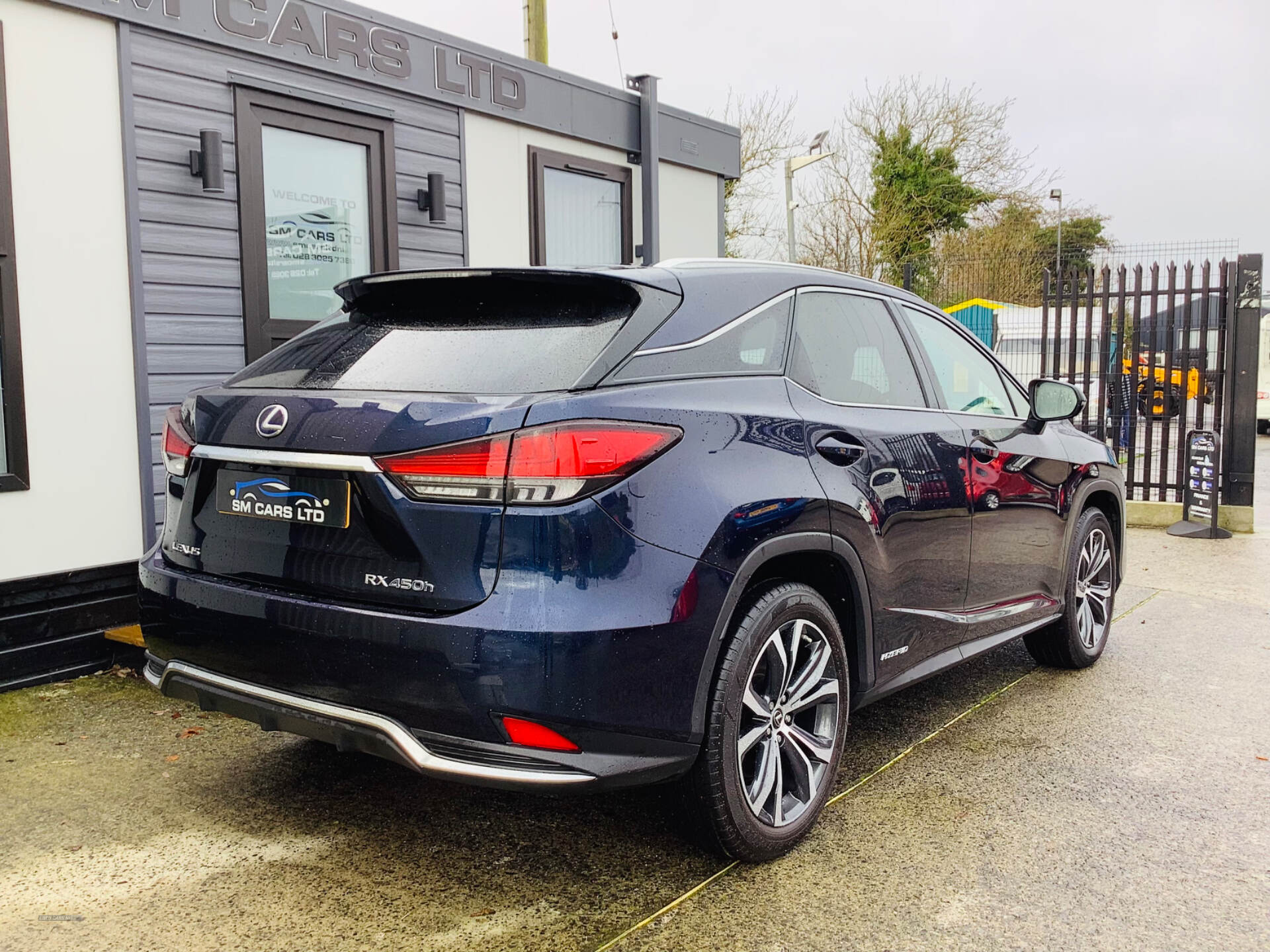 Lexus RX-Series ESTATE in Down