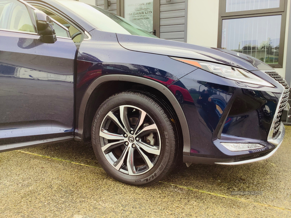 Lexus RX-Series ESTATE in Down