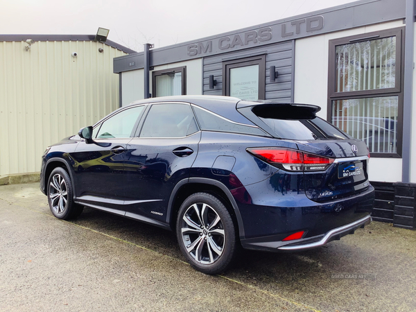 Lexus RX-Series ESTATE in Down