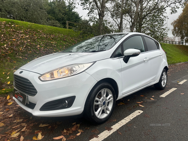 Ford Fiesta HATCHBACK in Down