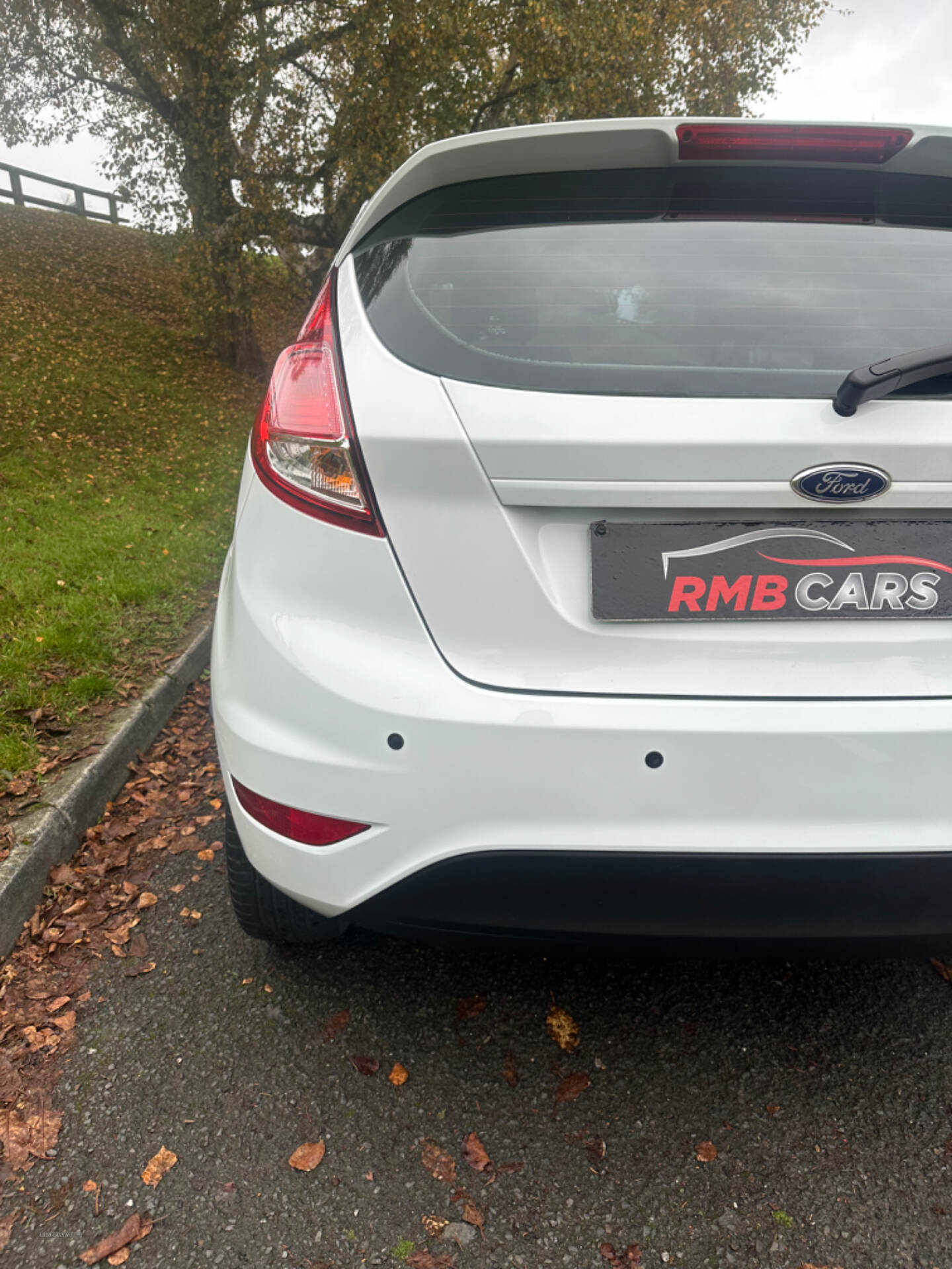 Ford Fiesta HATCHBACK in Down