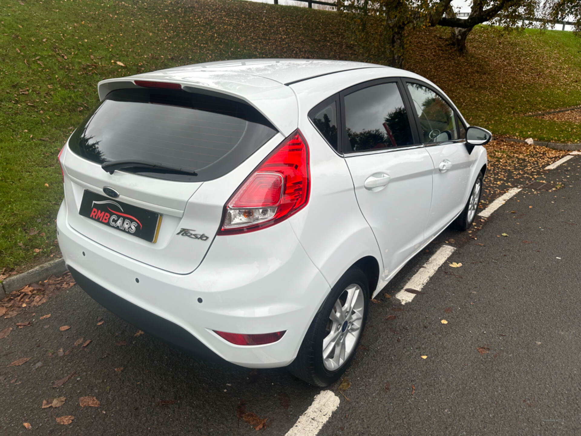 Ford Fiesta HATCHBACK in Down