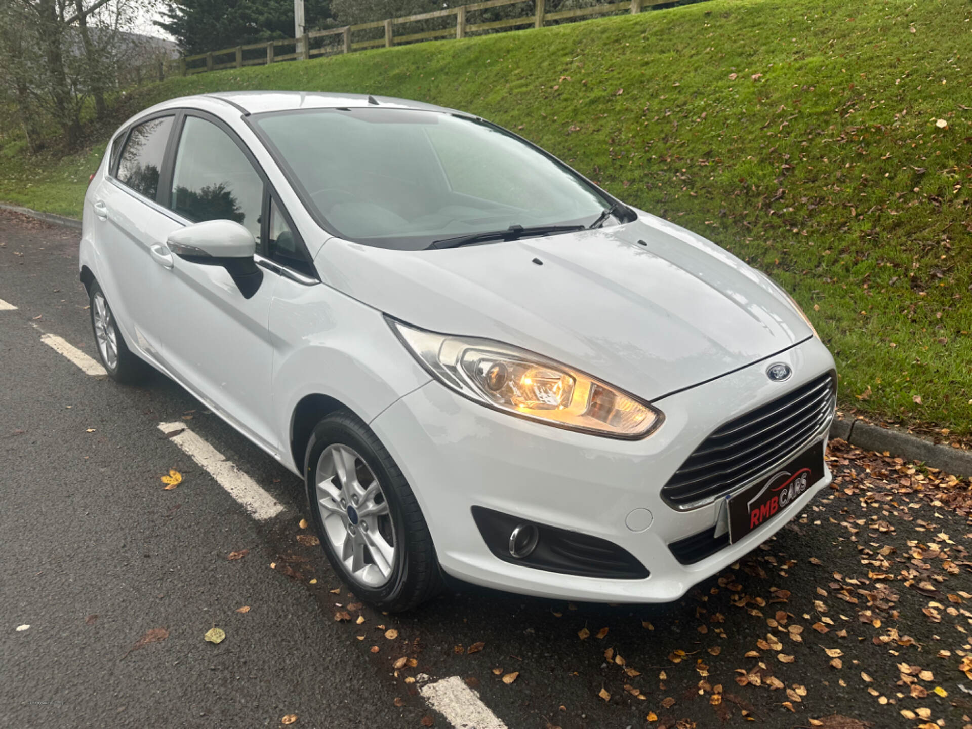 Ford Fiesta HATCHBACK in Down