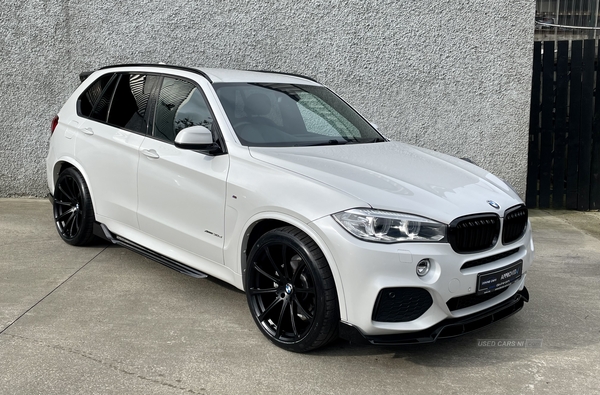 BMW X5 DIESEL ESTATE in Tyrone