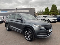 Skoda Kodiaq SE L (7 seats) in Fermanagh