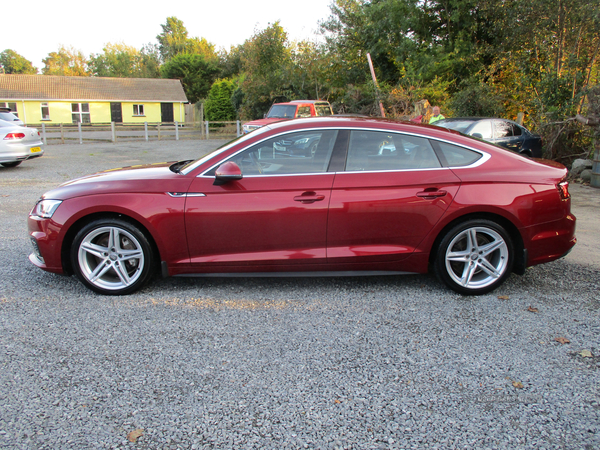 Audi A5 DIESEL SPORTBACK in Down