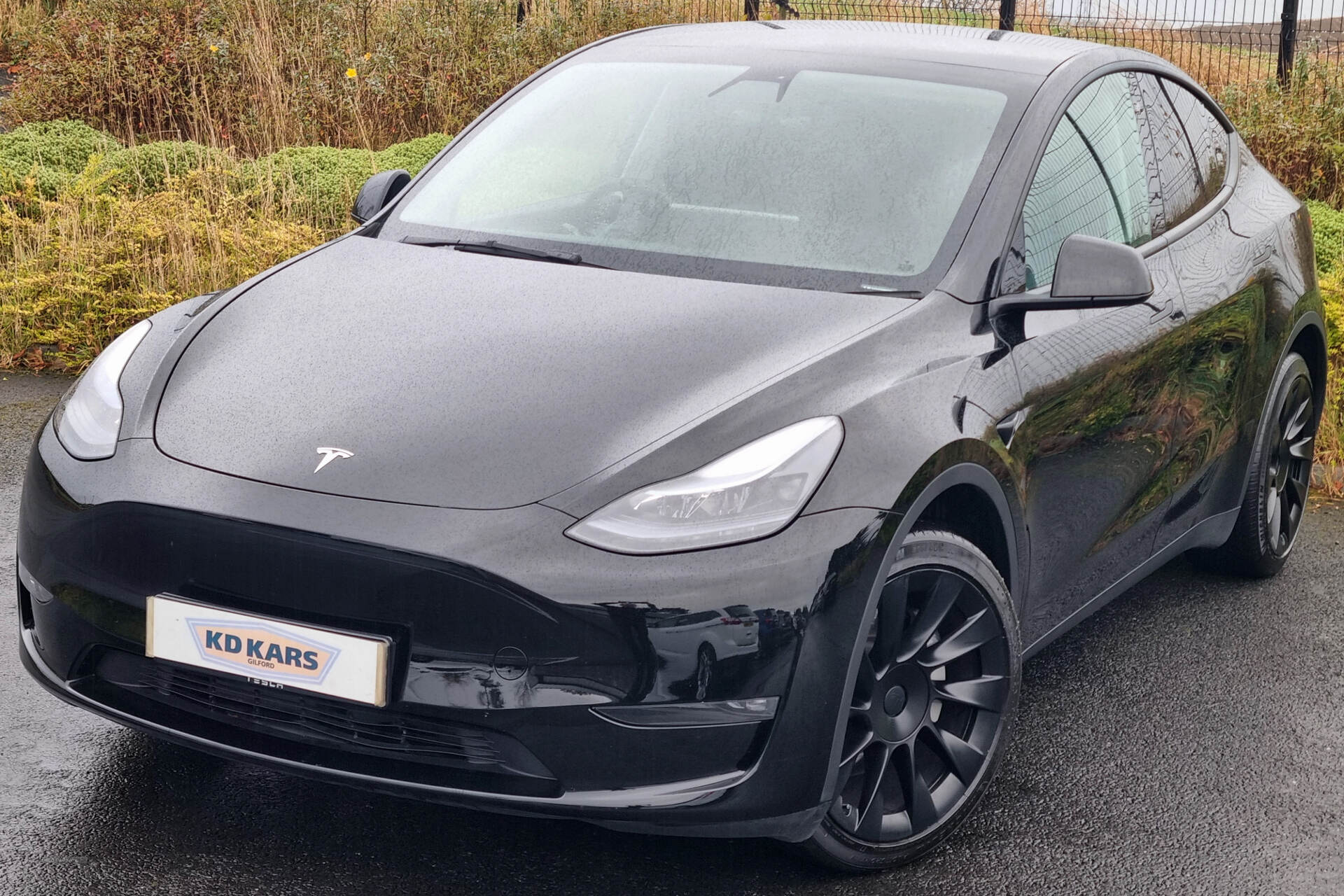 TESLA Model Y HATCHBACK in Armagh