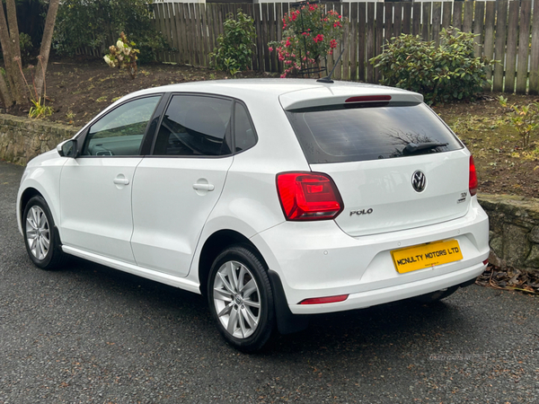 Volkswagen Polo DIESEL HATCHBACK in Tyrone