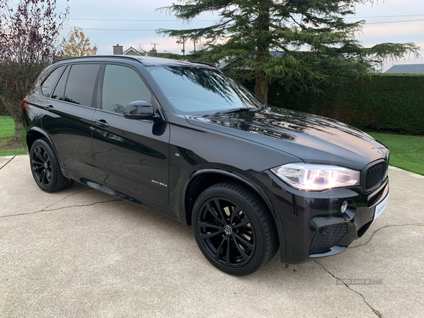 BMW X5 DIESEL ESTATE in Tyrone