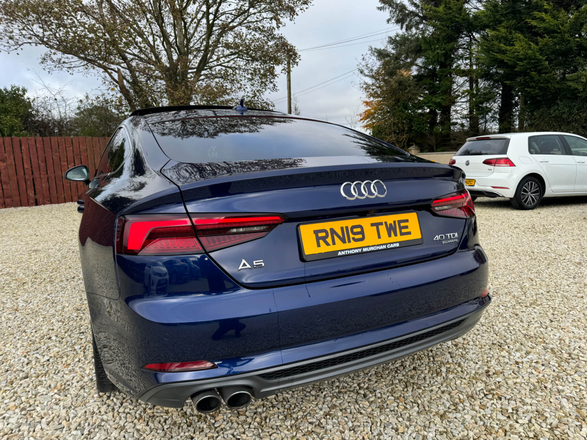 Audi A5 DIESEL SPORTBACK in Down