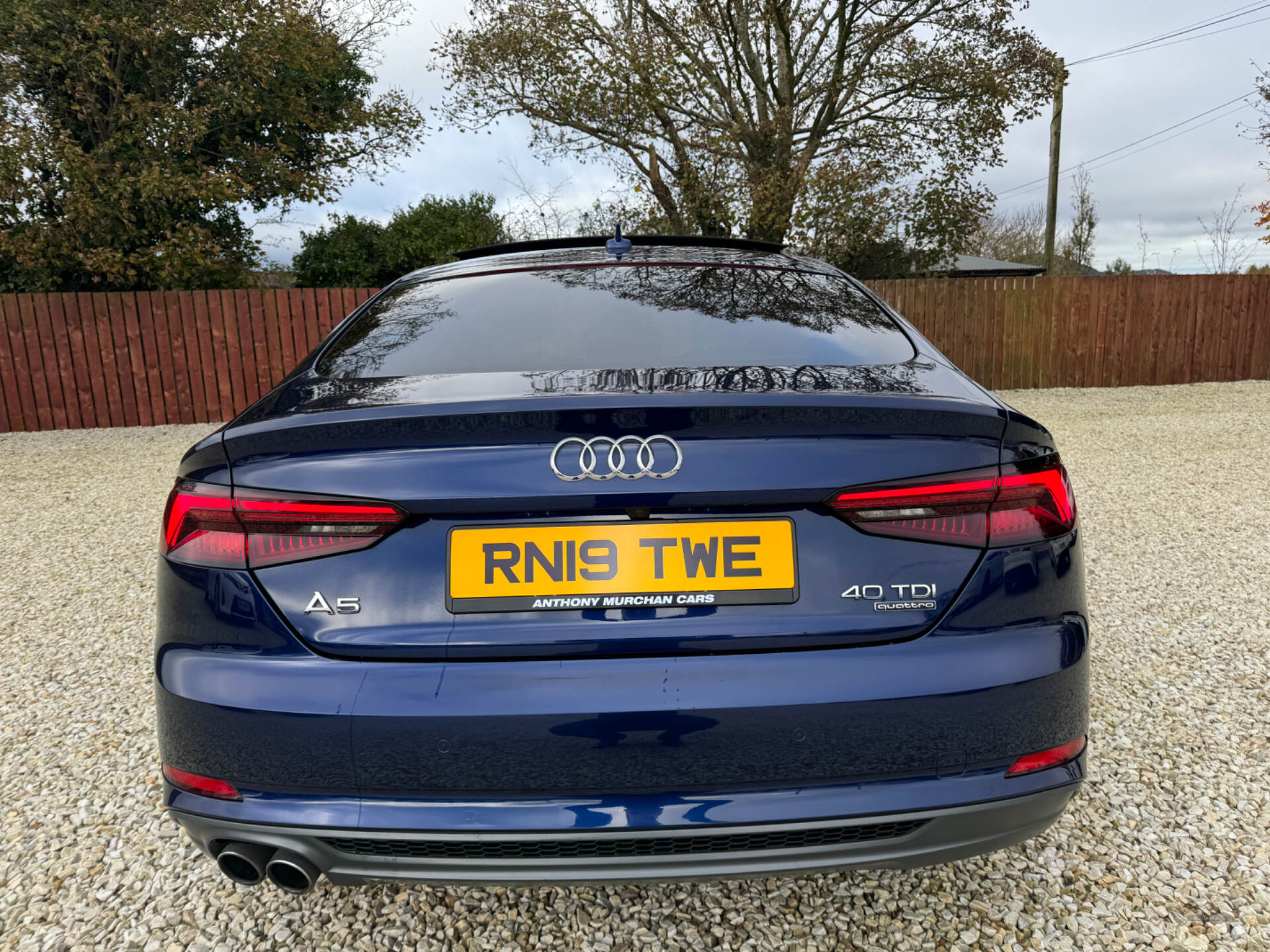 Audi A5 DIESEL SPORTBACK in Down