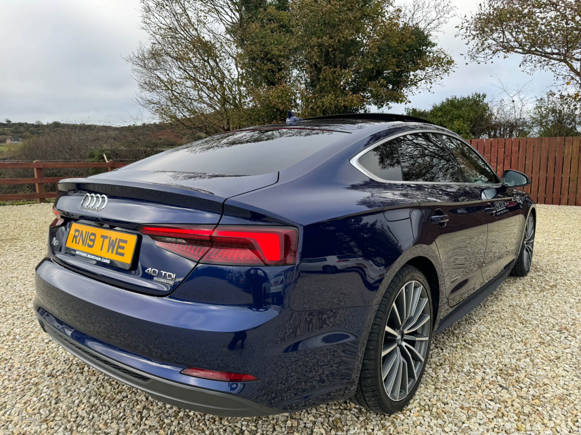 Audi A5 DIESEL SPORTBACK in Down