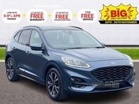 Ford Kuga 1.5 EcoBlue ST-Line X Edition 5dr in Tyrone