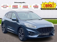 Ford Kuga 1.5 EcoBlue ST-Line X Edition 5dr in Tyrone