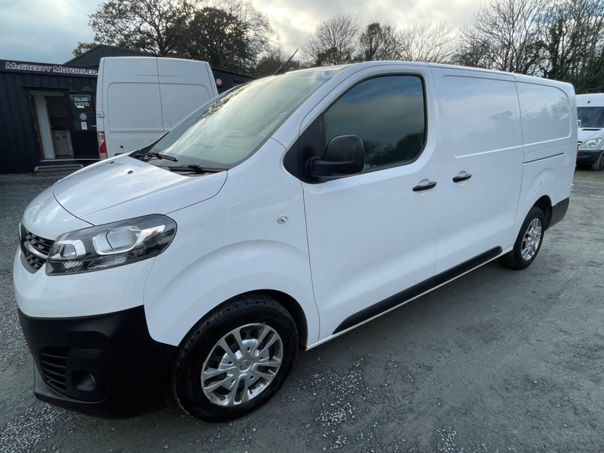 Vauxhall Vivaro L2 DIESEL in Down