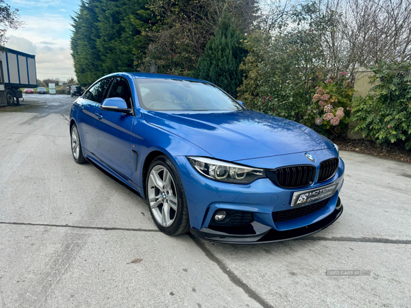 BMW 4 Series GRAN DIESEL COUPE in Down