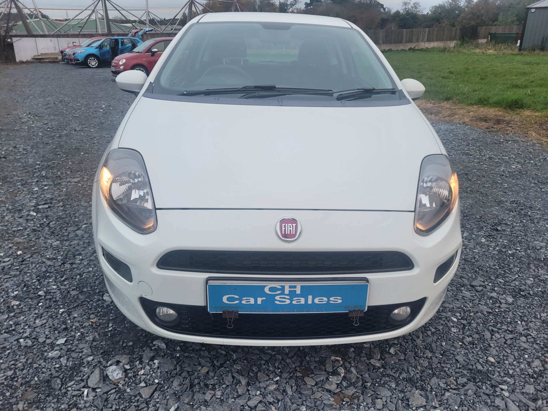 Fiat Punto HATCHBACK in Down