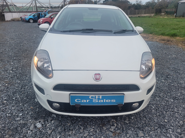 Fiat Punto HATCHBACK in Down