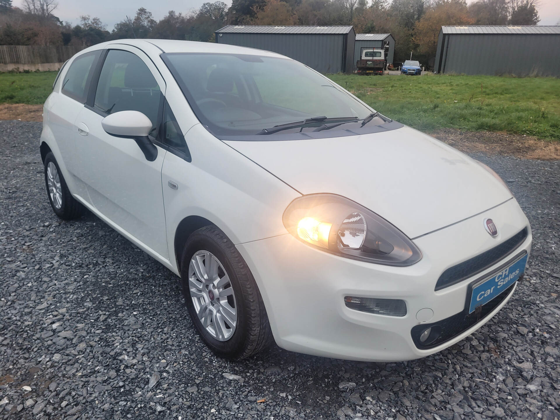 Fiat Punto HATCHBACK in Down