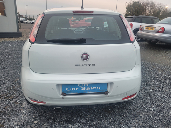 Fiat Punto HATCHBACK in Down