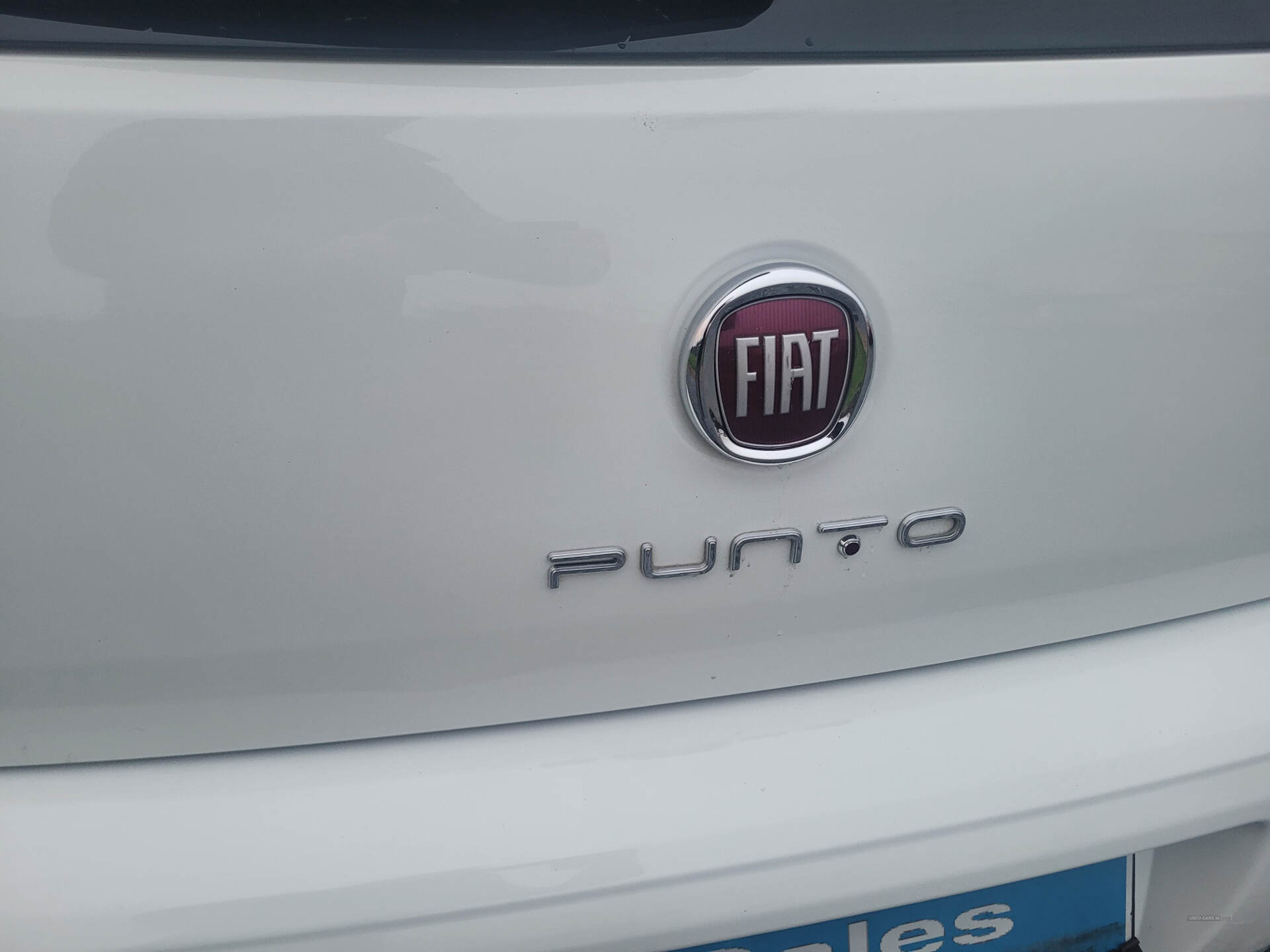 Fiat Punto HATCHBACK in Down