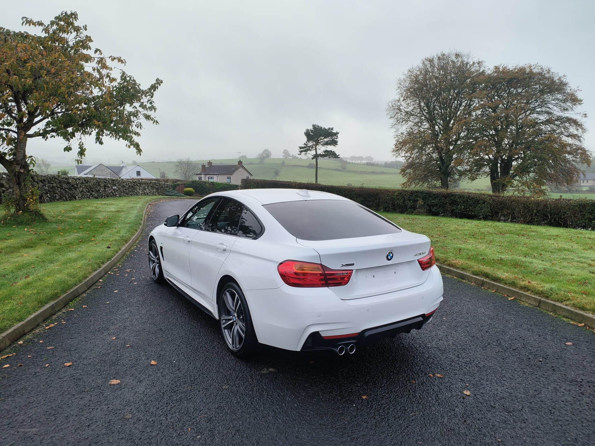 BMW 4 Series GRAN DIESEL COUPE in Antrim