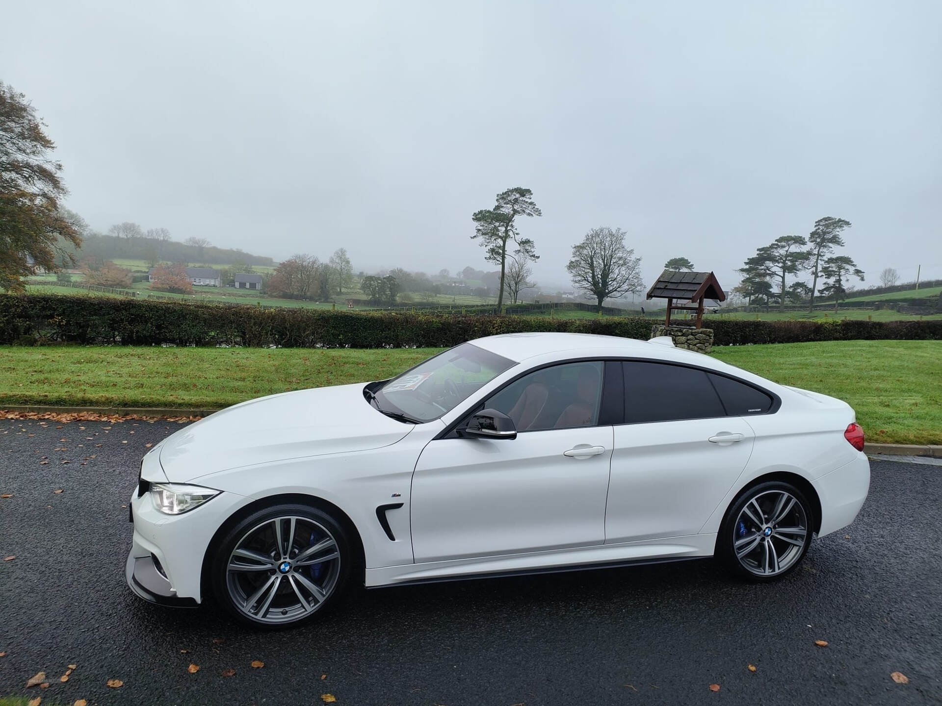 BMW 4 Series GRAN DIESEL COUPE in Antrim