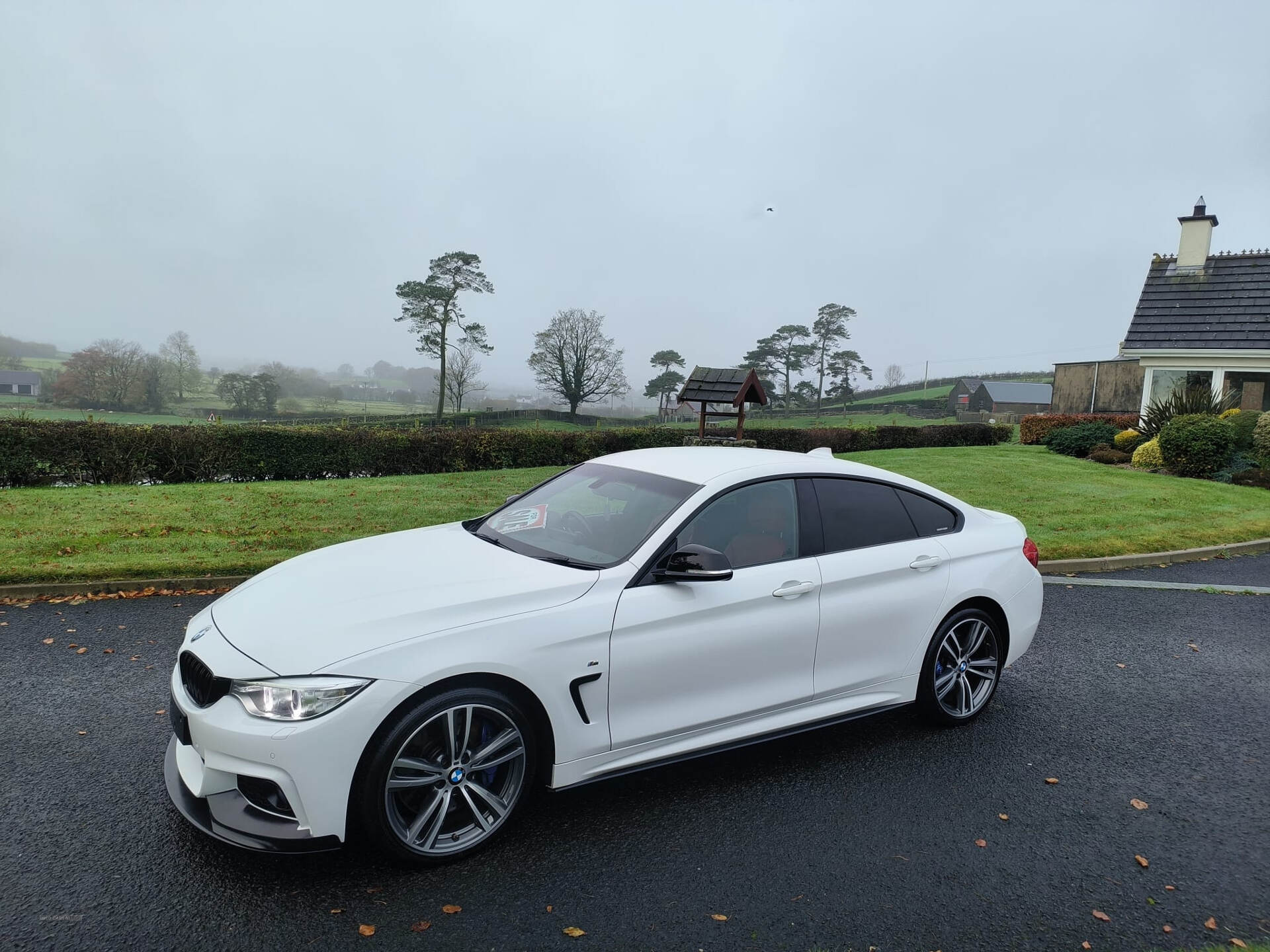 BMW 4 Series GRAN DIESEL COUPE in Antrim