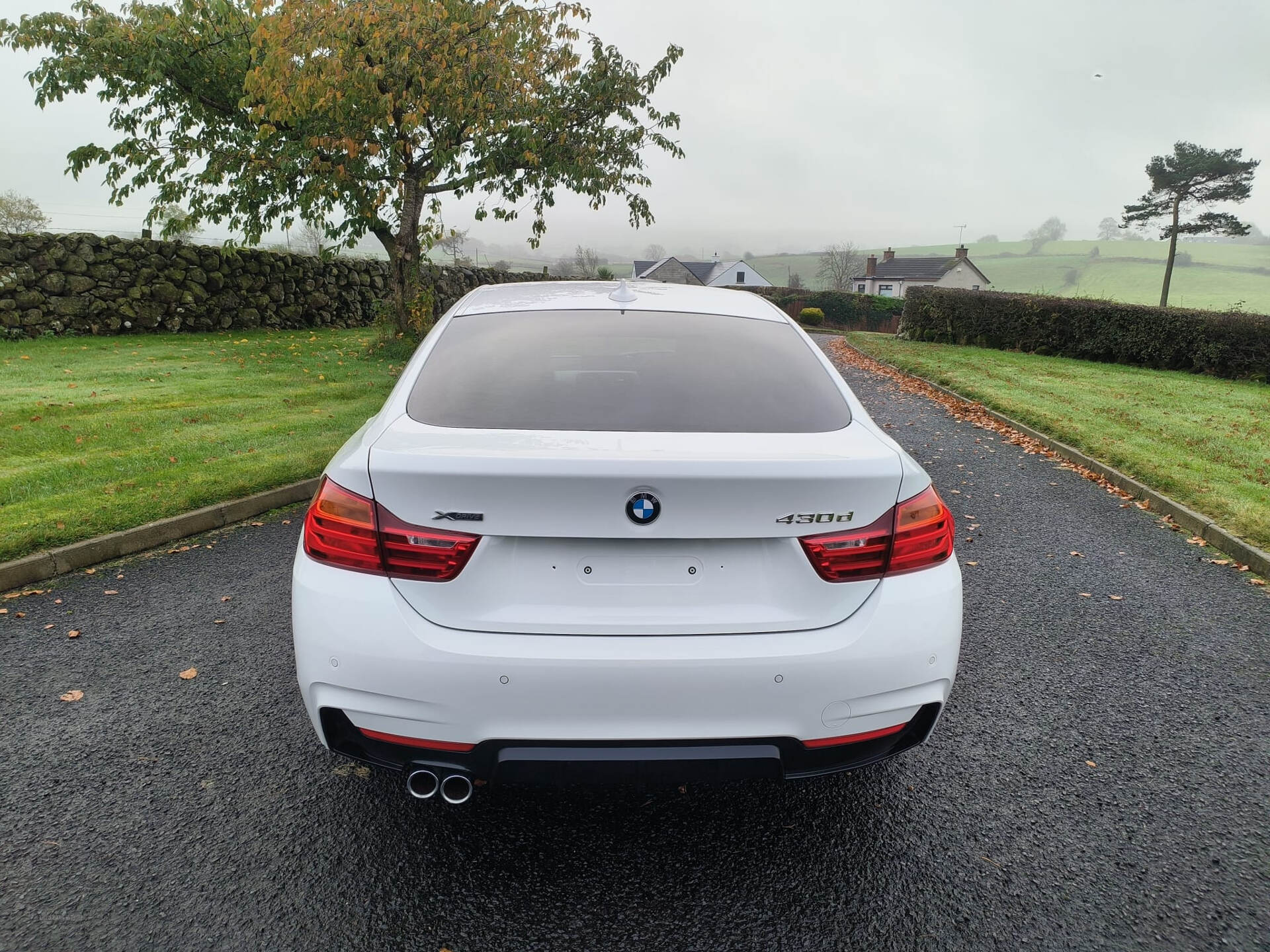 BMW 4 Series GRAN DIESEL COUPE in Antrim