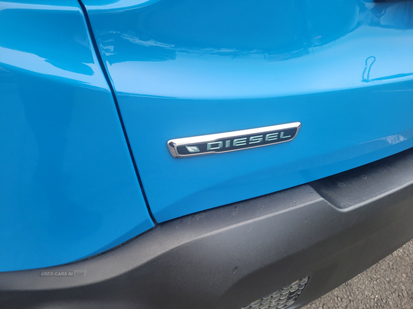 Jeep Renegade DIESEL HATCHBACK in Down