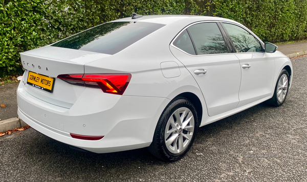 Skoda Octavia DIESEL HATCHBACK in Tyrone