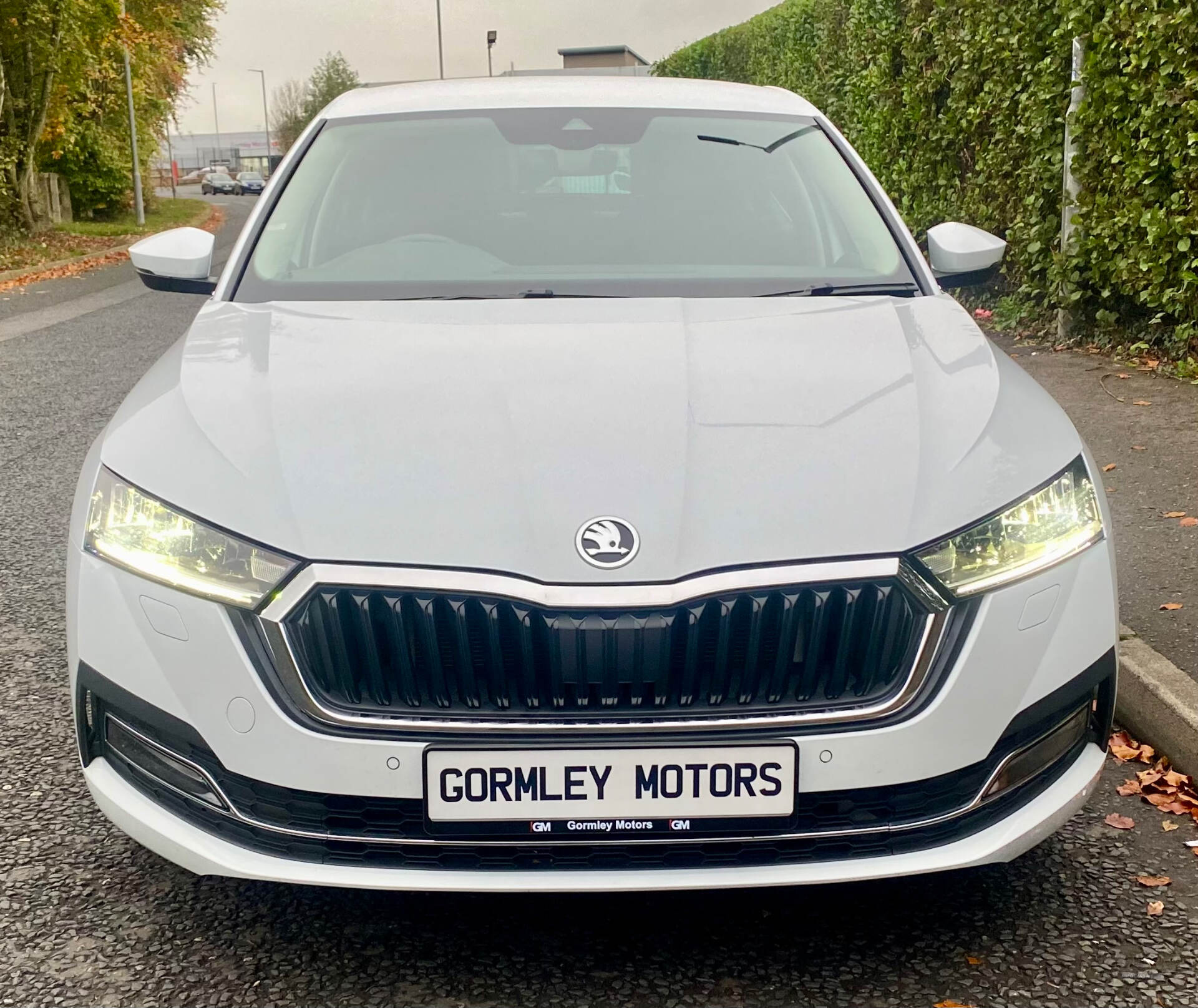 Skoda Octavia DIESEL HATCHBACK in Tyrone