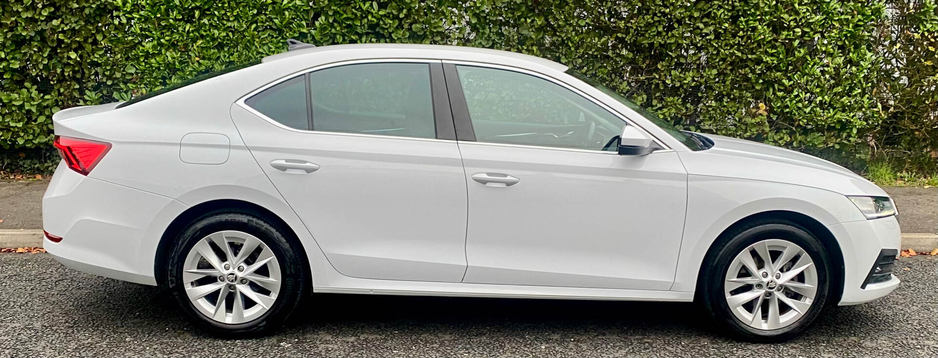 Skoda Octavia DIESEL HATCHBACK in Tyrone